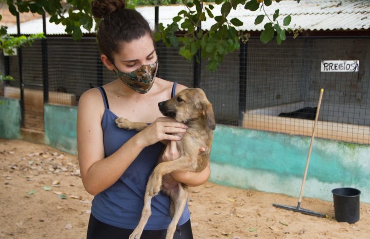 Lei protege a saúde de pessoas e animais sensíveis ao barulho de fogos de artifícios