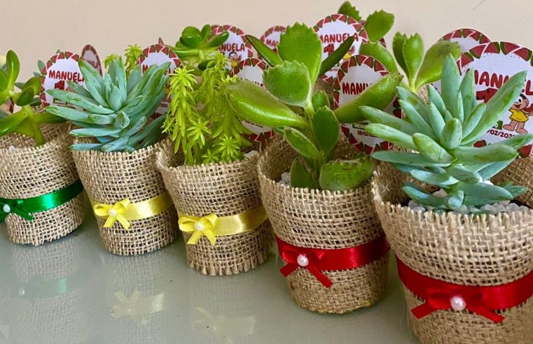 Lembrancinhas vivas: Mãe e filha veem na paixão por plantas ornamentais uma oportunidade de empreender em RR