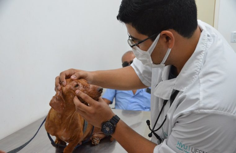 Complexo Veterinário da UFRR garante atendimento médico para animais da comunidade