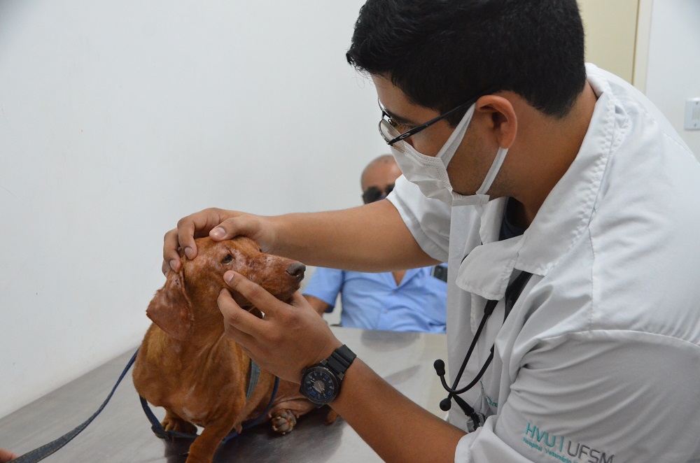 Complexo Veterinário da UFRR garante atendimento médico para animais da comunidade