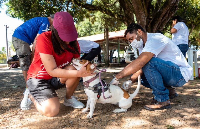 Mais de 10 mil animais foram vacinados contra a raiva em Boa Vista