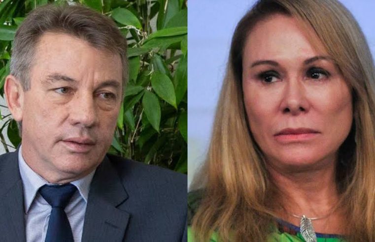 Justiça manda coligação de Denarium parar de veicular vídeo que associa Teresa à morte de animais