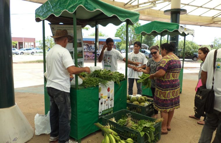 Feira Sebrae de Agricultura Familiar ocorre neste sábado (19) em Boa Vista