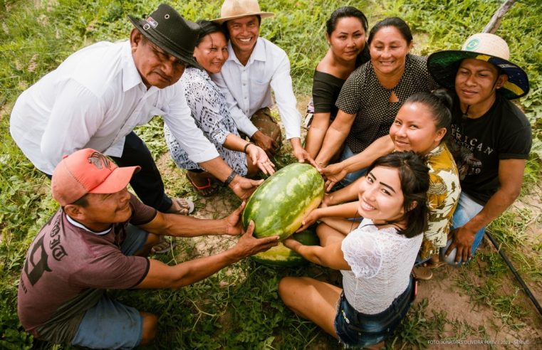 Produtores indígenas devem colher 360 toneladas de melancia em Boa Vista