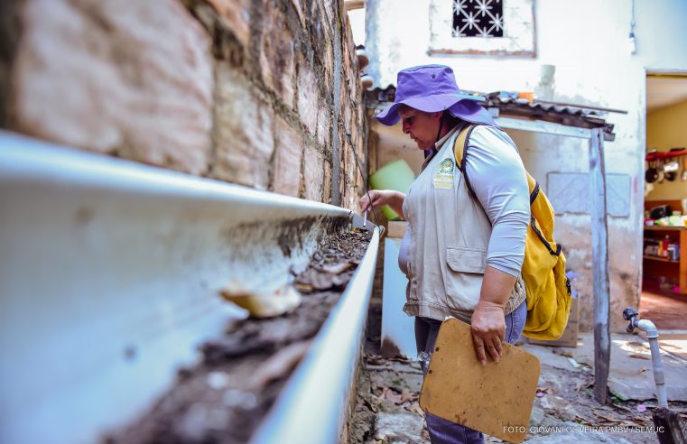 Levantamento aponta Boa Vista com médio risco para epidemia de dengue, zika e chikungunya