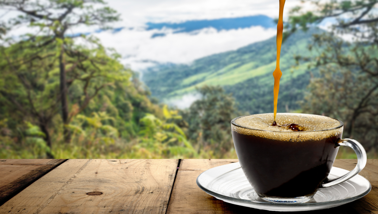 Conheça roteiros turísticos que possuem como atração principal o café