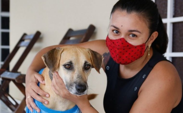 Projeto de Lei que institui ‘Abril Laranja’ como mês dedicado à proteção animal é aprovado em Roraima