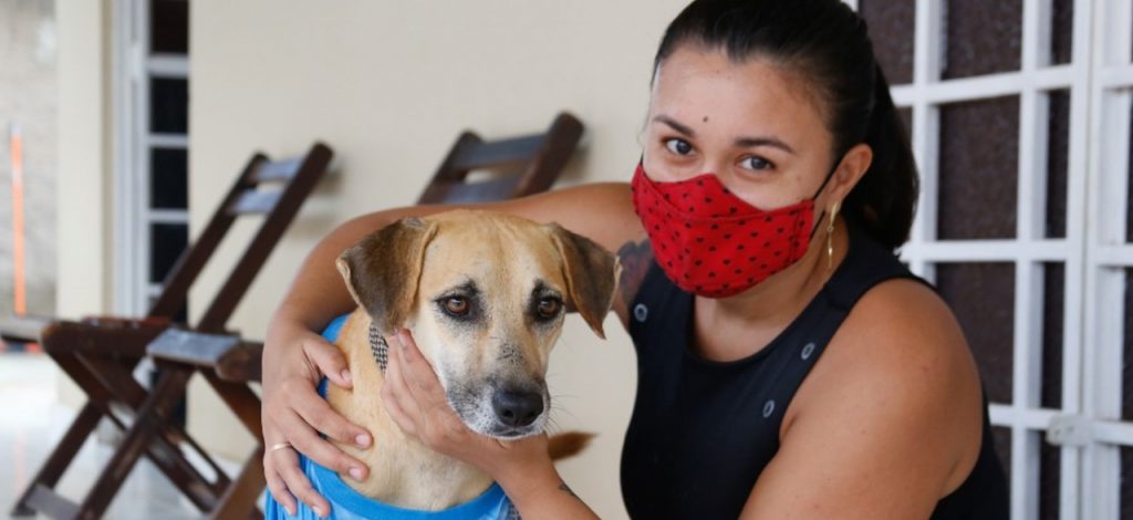 Projeto de Lei que institui ‘Abril Laranja’ como mês dedicado à proteção animal é aprovado em Roraima