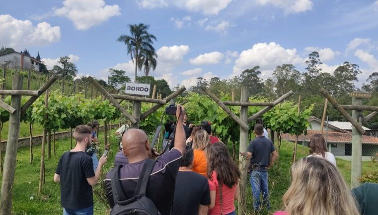 Pequenas propriedades encontram alternativa econômica com turismo rural