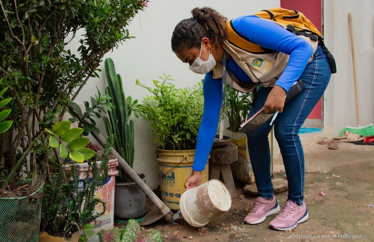 Mais de 30 bairros de Boa Vista estão em alto risco para dengue