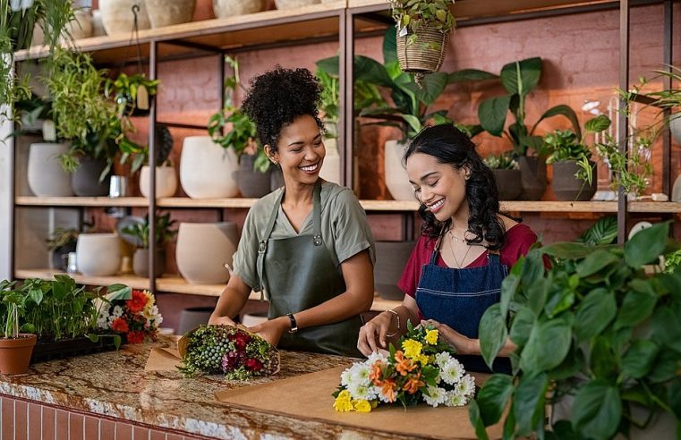 Número de empreendedores estabelecidos cresce no país