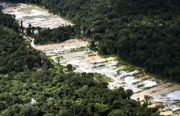 Dez garimpos ilegais são destruídos em força-tarefa na Amazônia