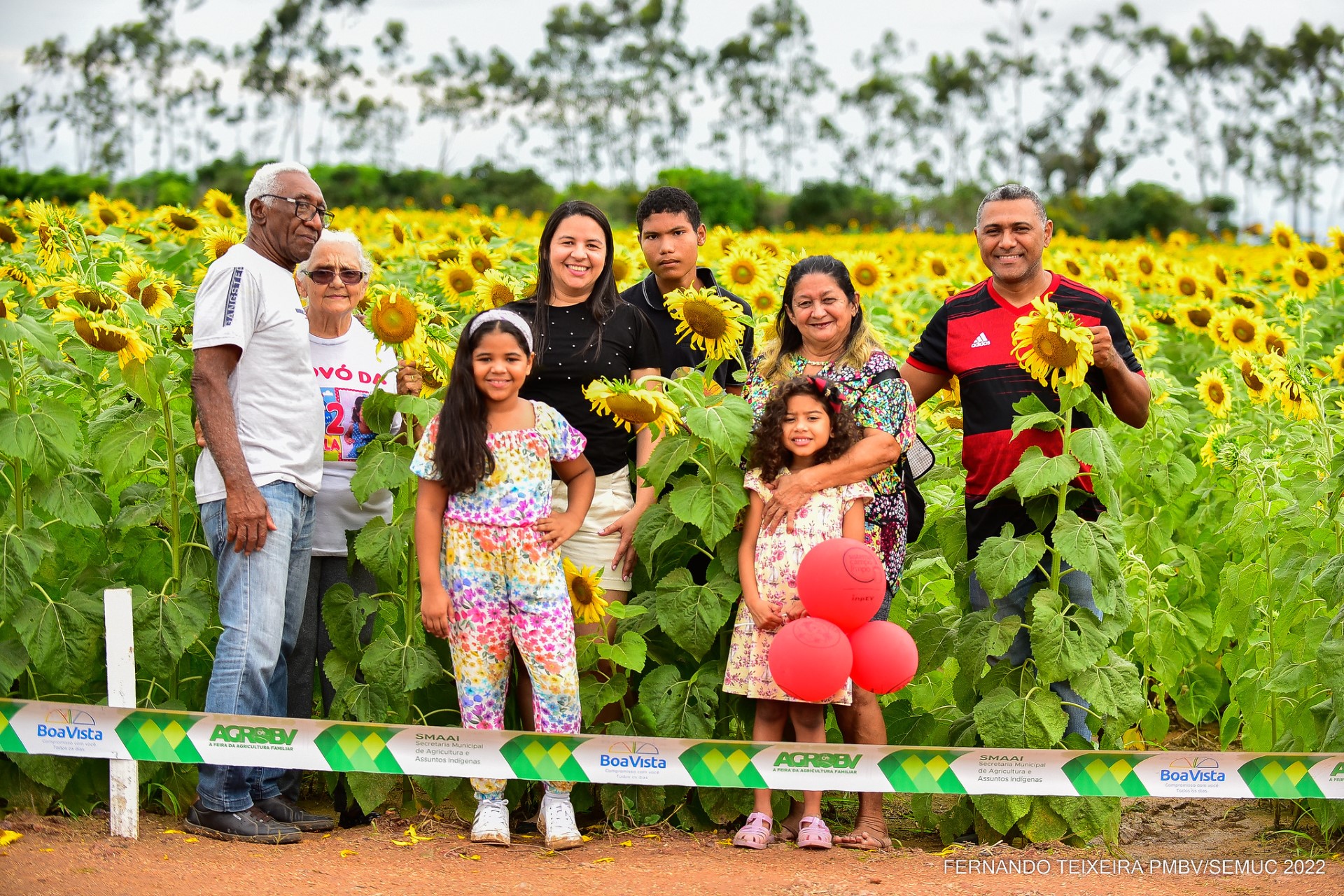 Público poderá visitar Campo de girassóis durante os três dias do AgroBv 2023