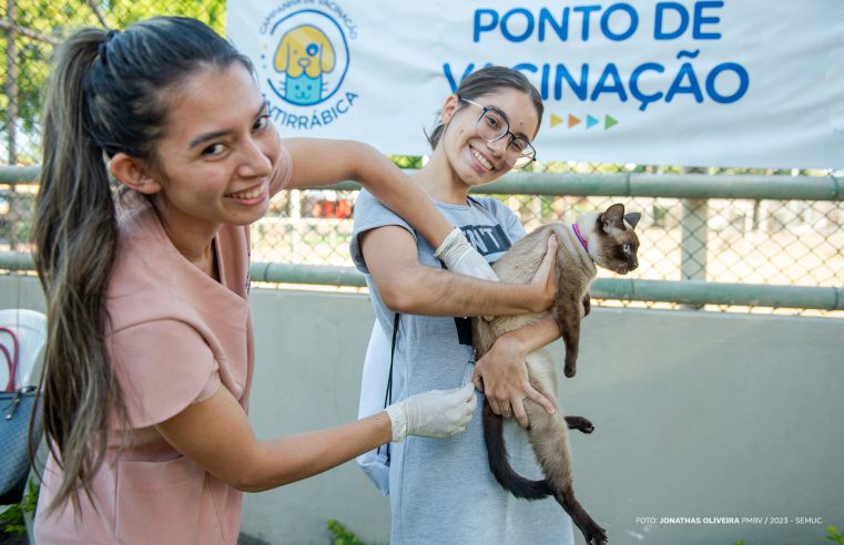 Boa Vista imunizou mais de 7 mil animais no último sábado (12)