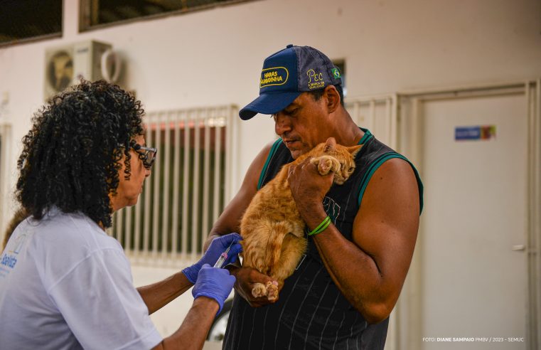 Vacinação antirrábica continua neste sábado (19), em 18 pontos de Boa Vista