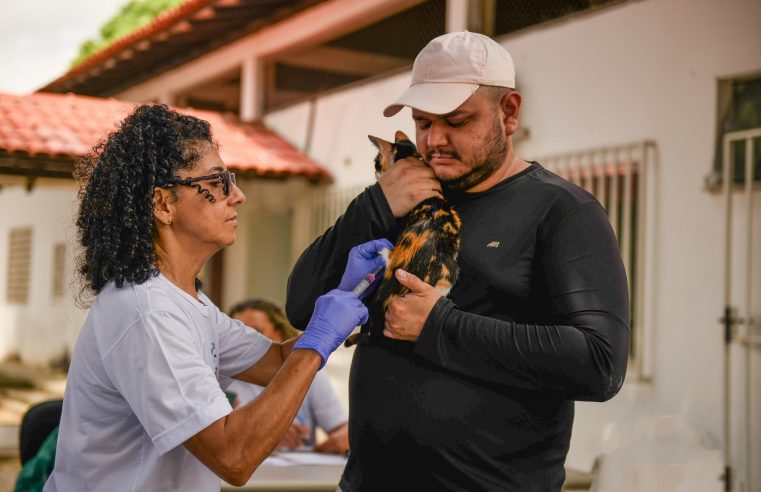 Vacinação Antirrábica imunizou mais de 5 mil cães e gatos neste sábado (05) em Boa Vista; veja quando e onde será a próxima etapa