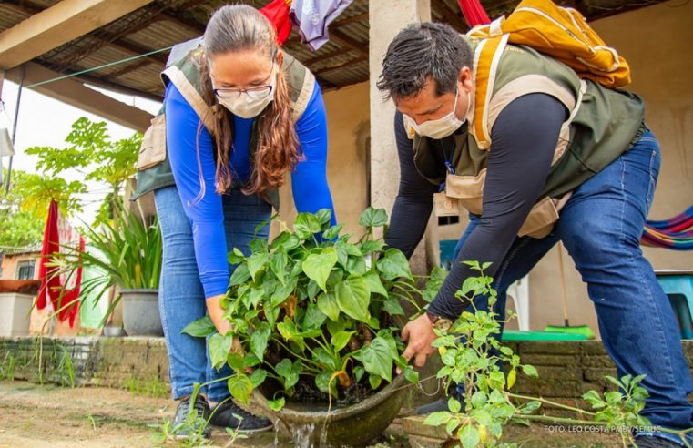 Boa Vista mantém menor índice de infestação do Aedes aegypti do ano