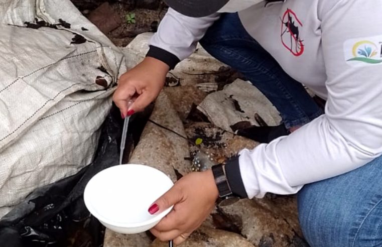 Dados do 4º LIRAa apontam dez municípios de Roraima em alerta máxima para arboviroses