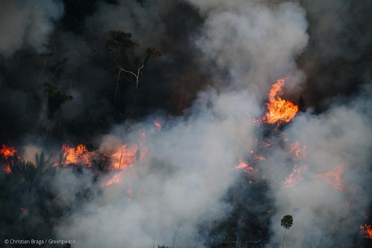 Mato Grosso lidera ranking de queimadas no país, seguido de Roraima, Pará e Maranhão