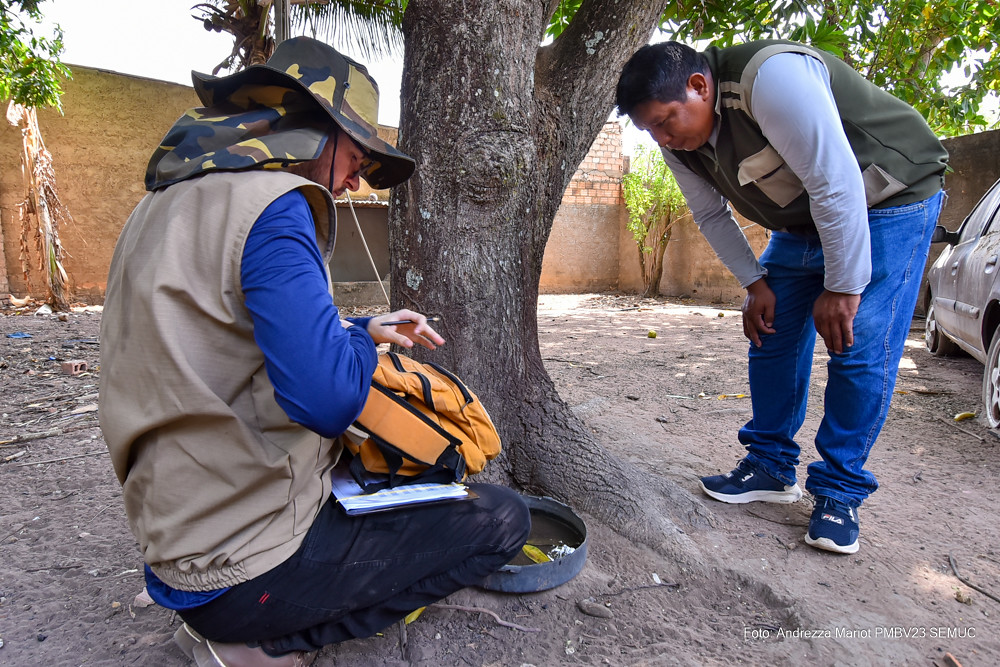 LIRAa 2024 – Com ações de combate, Boa Vista apresenta baixo risco para doenças transmitidas pelo Aedes aegypti, aponta levantamento