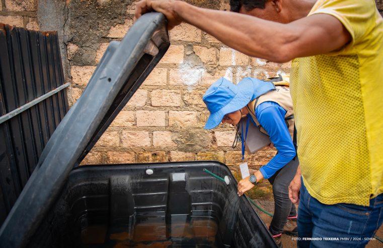 Mutirão de combate ao Aedes aegypti é realizado em Boa Vista