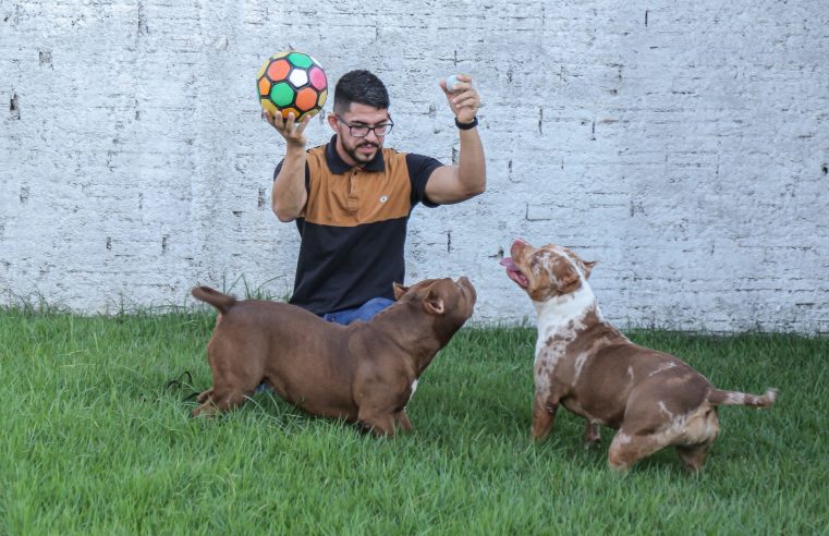 ‘PET HERÓI DOADOR’ – Lei aprovada pela ALE-RR estimula campanha de doação de sangue entre pets no Estado