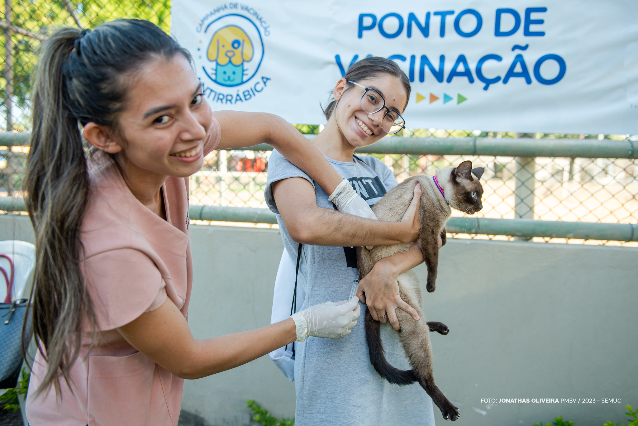 Boa Vista inicia campanha de vacinação antirrábica animal neste sábado (03)