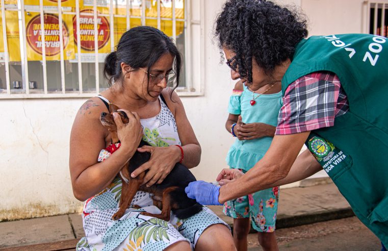 Vacinação antirrábica continua neste sábado (10) em diferentes bairros de Boa Vista