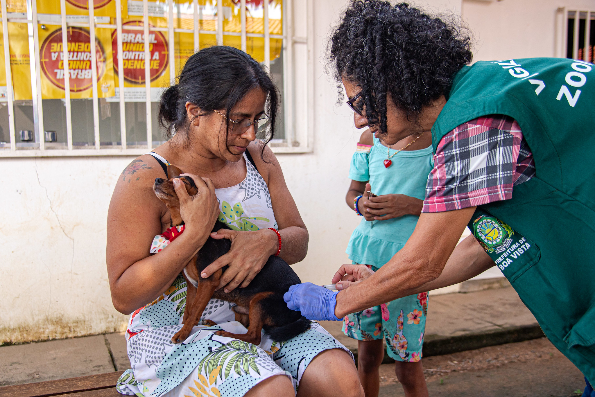 Vacinação antirrábica continua neste sábado (10) em diferentes bairros de Boa Vista