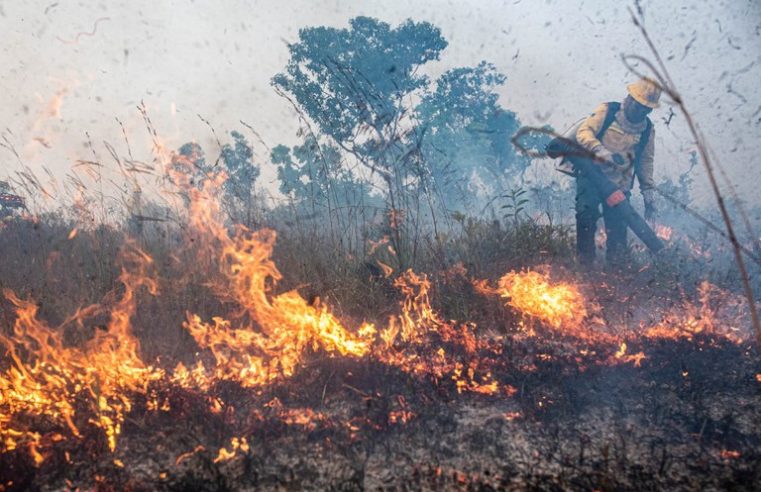 Fundo Amazônia aprova R$ 180 milhões para Corpos de Bombeiros de quatro estados