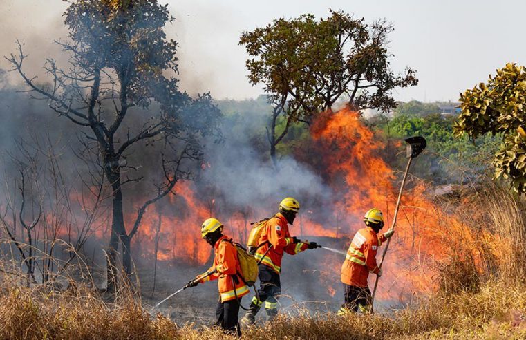 Para 59%, incêndios são causados para criar desordem, aponta DataSenado