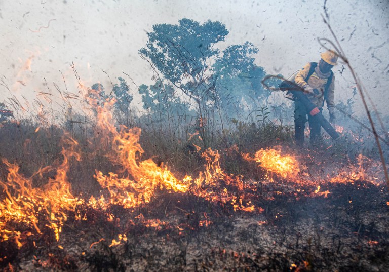 Fundo Amazônia aprova R$ 180 milhões para Corpos de Bombeiros de quatro estados